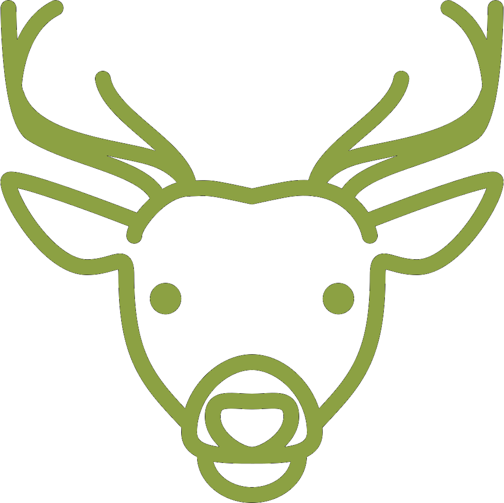 Přehled typů ušních známek pro jelenovité a velbloudovité